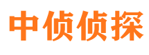 维扬寻人公司